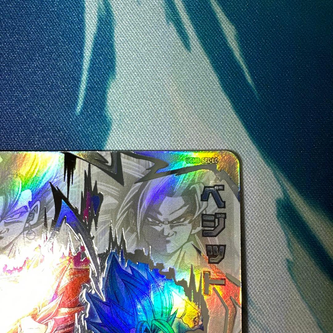 コウダイ様リクエスト品　他の方は御購入お控え下さい。