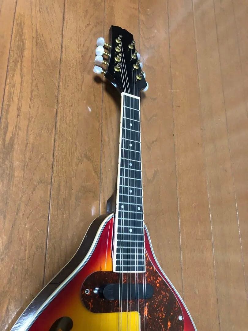 ノーブランドの￼￼エレクトリックフラットマンドリン￼