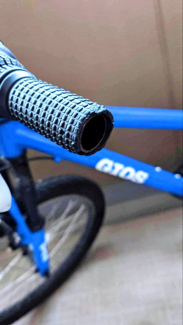 [直接受け取りのみ] GIOS キッズマウンテンバイク 22インチ