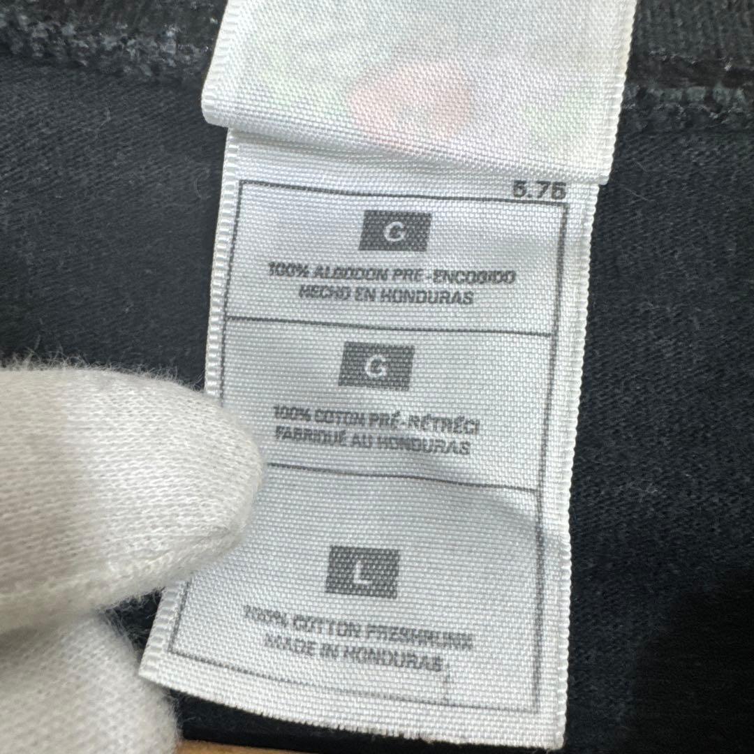 希少 00s DREAM THEATER ヴィンテージ ヘンリーネック バンT