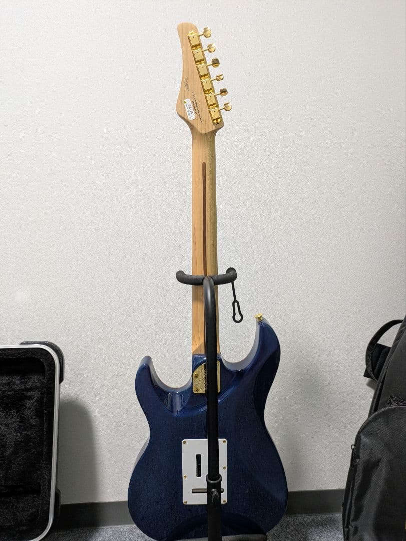 Fujigen EOS2-FM-R/NBG ギター