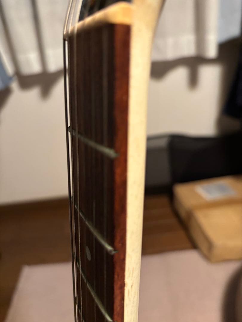 レスポール　スペシャル