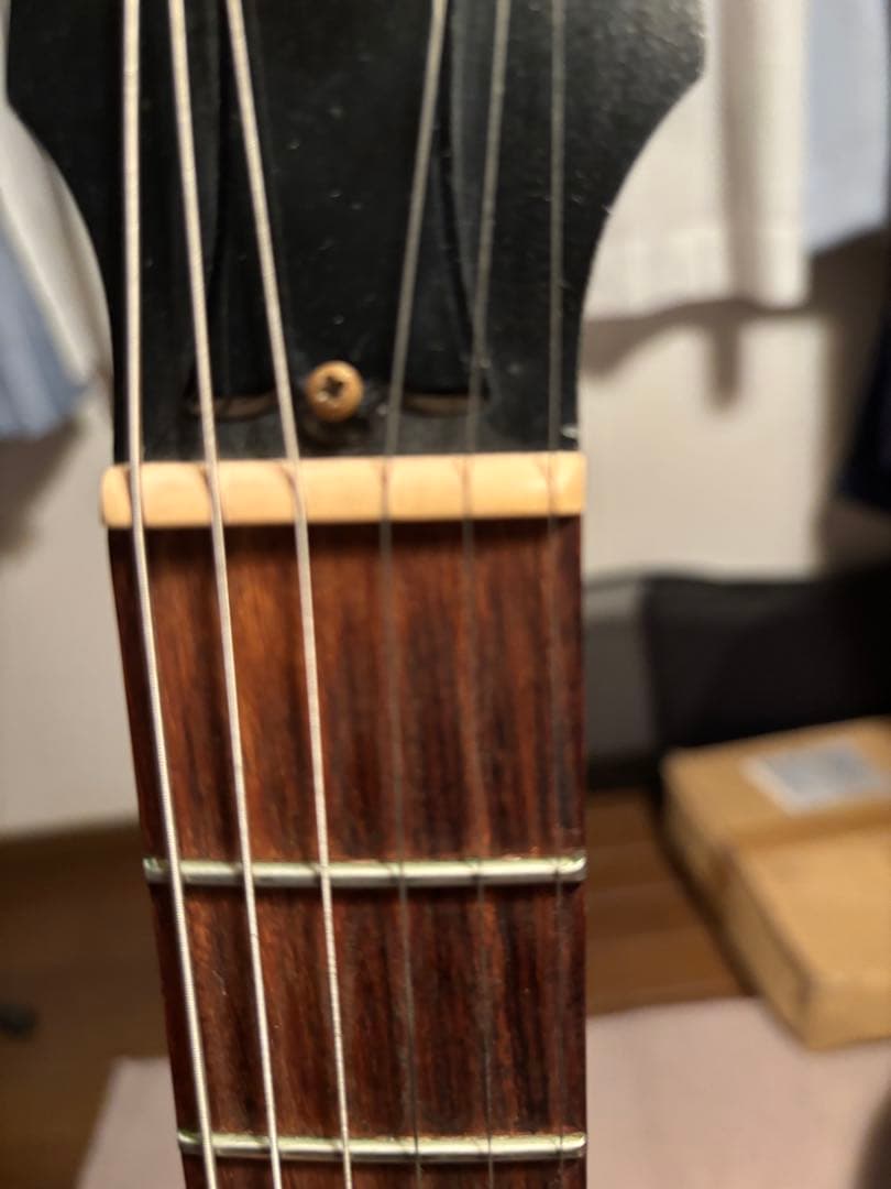 レスポール　スペシャル