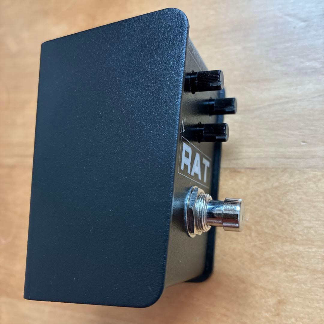 今日だけ値下げ Proco LIL' RAT