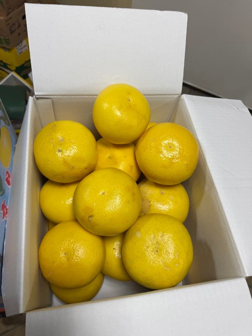 文旦　水晶文旦　みかん　好きに　　41