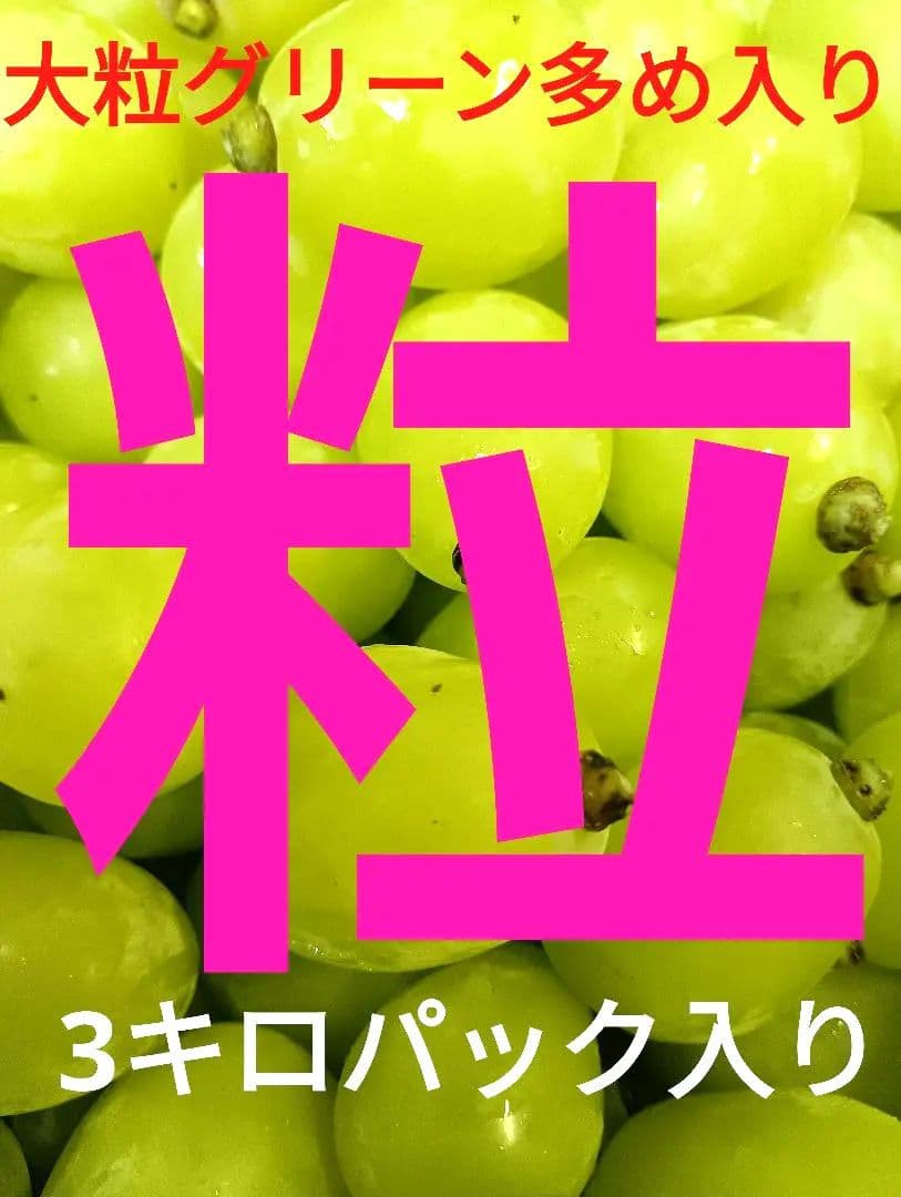 シヤインマスカット大粒グリーン多め入り3キロパック入りになります。