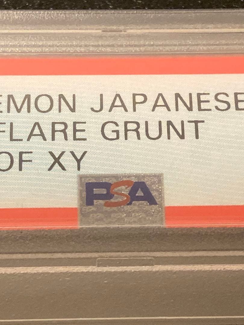 【PSA10】ポケモンカードゲーム　フレア団のしたっぱSR　186/171