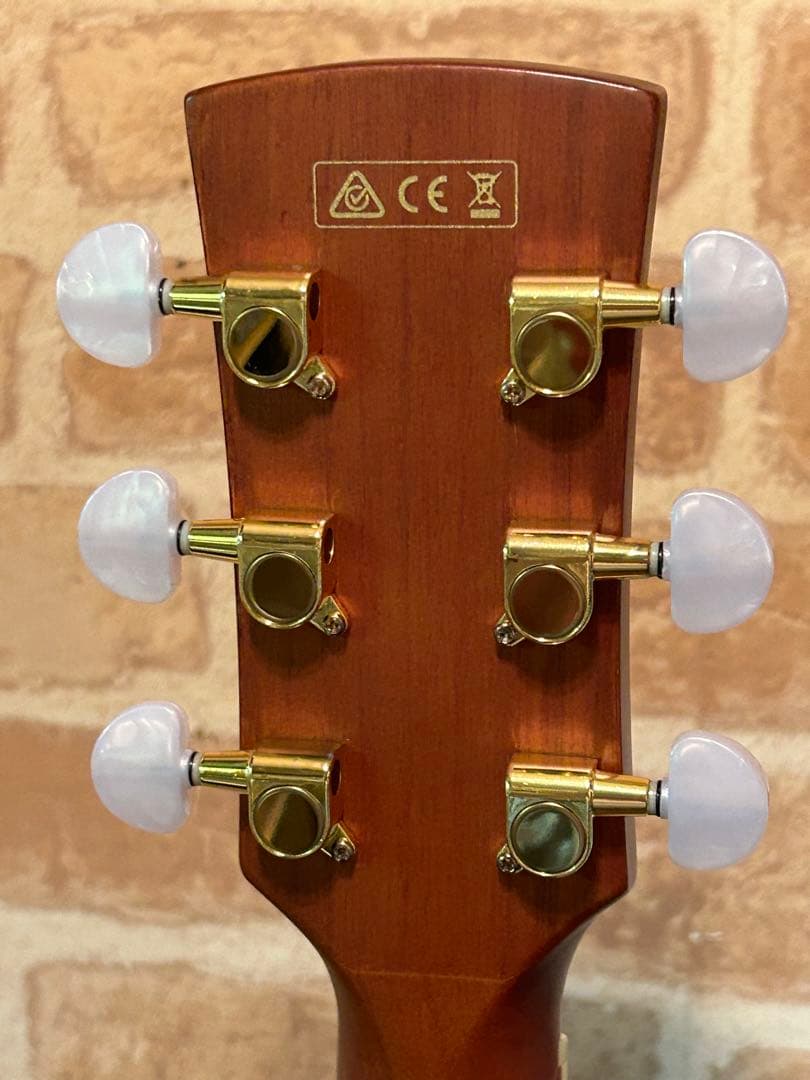 アイバニーズ・エレクトリックアコースティックギター(マホガニーボディー)