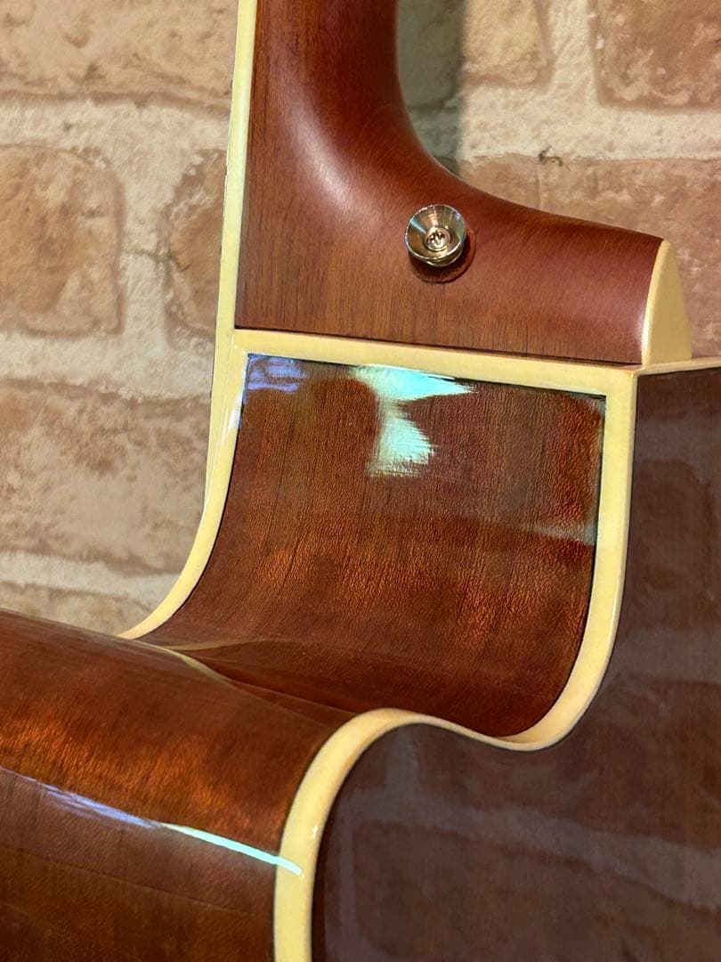 アイバニーズ・エレクトリックアコースティックギター(マホガニーボディー)