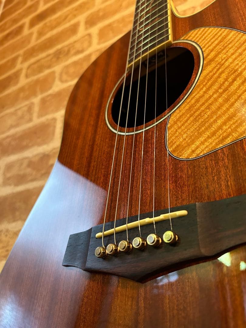 アイバニーズ・エレクトリックアコースティックギター(マホガニーボディー)