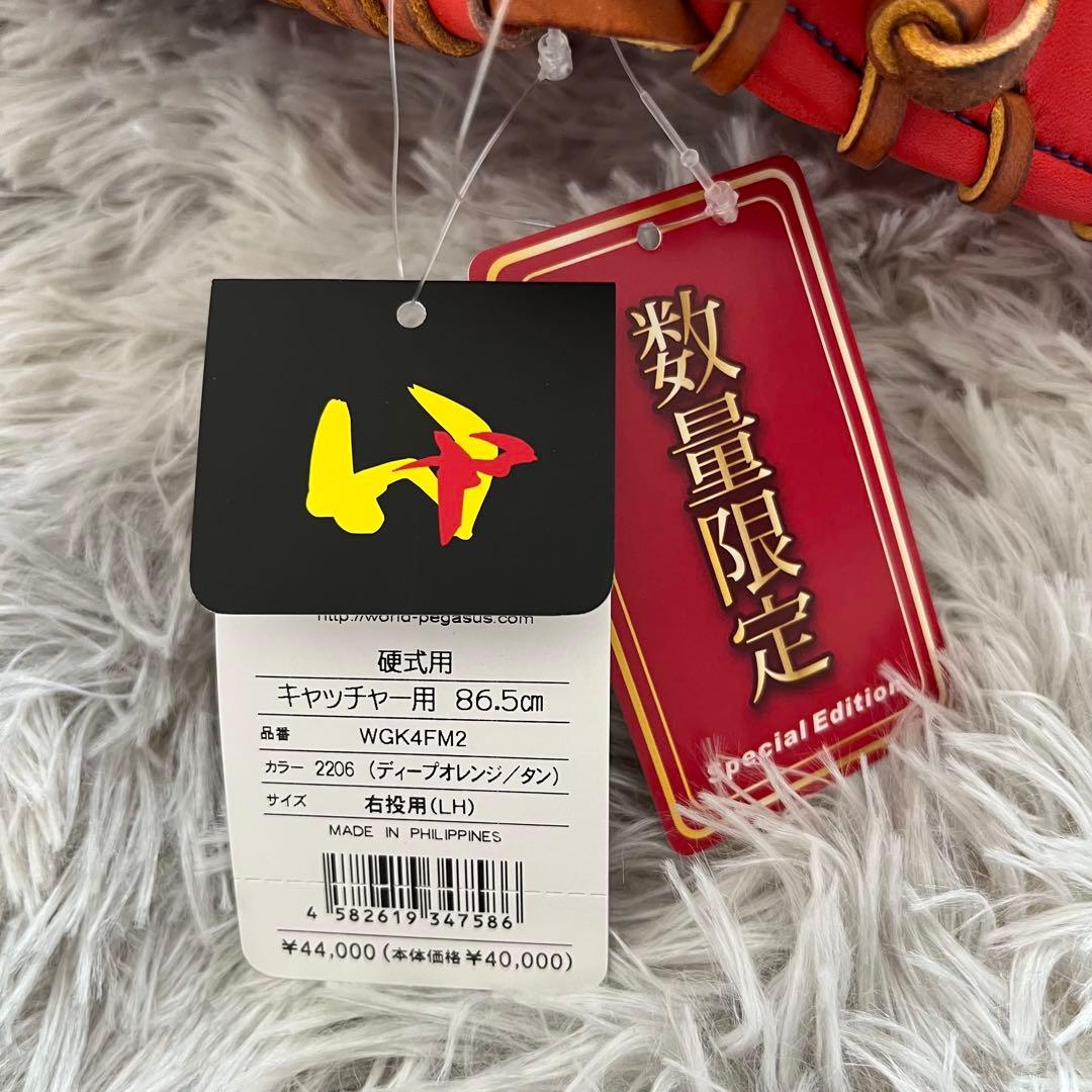 【新品未使用】【タグ付】【未型付】ワールドペガサス　硬式キャッチャーミット