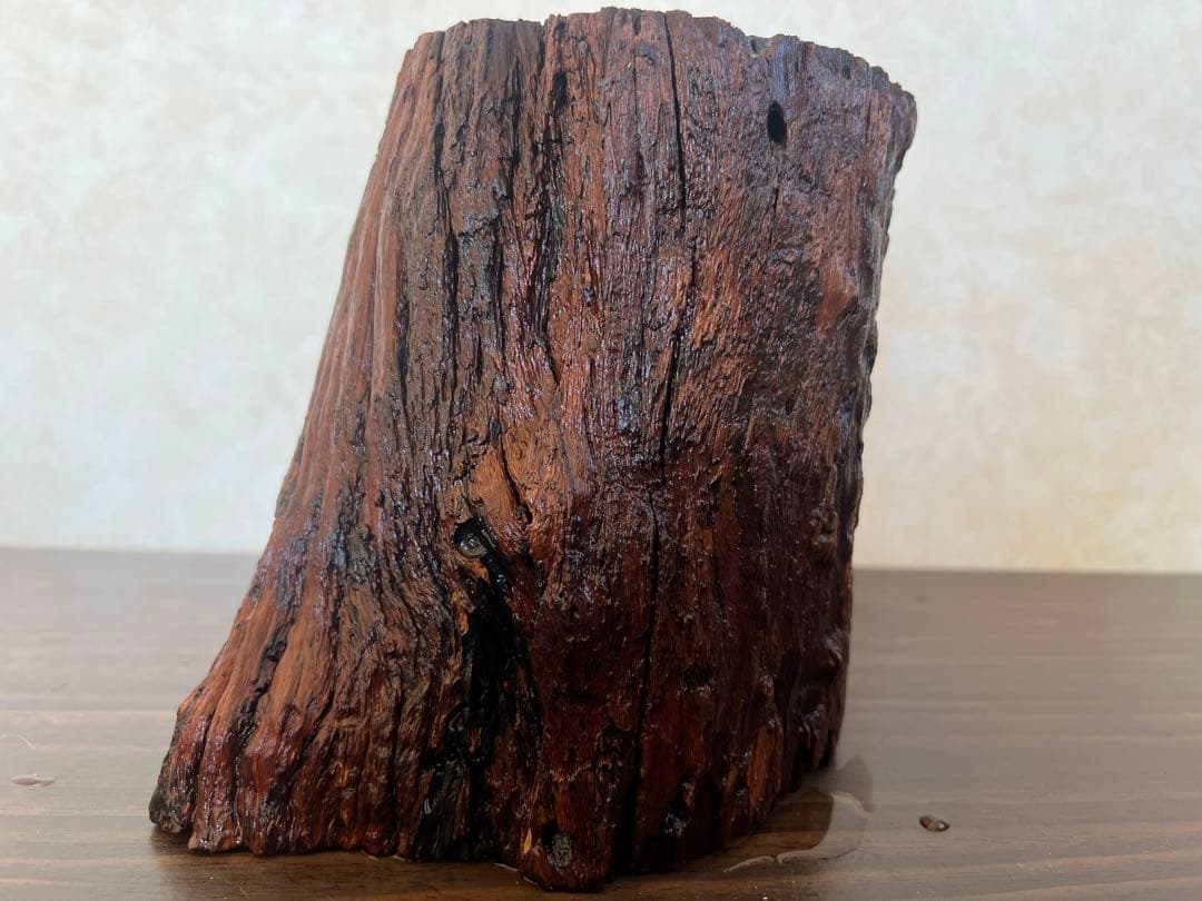 HX-007流木　空洞　爬虫類　アクアリウム　アクアテラリウム　即沈水