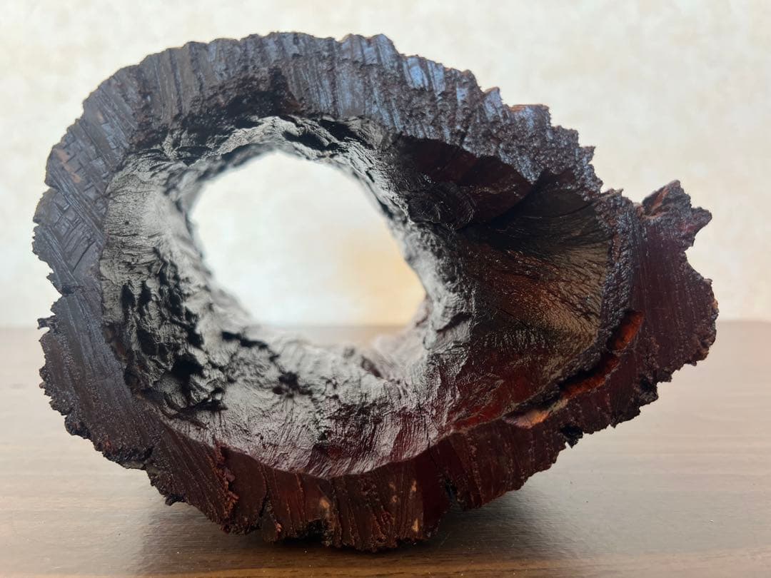 HX-007流木　空洞　爬虫類　アクアリウム　アクアテラリウム　即沈水