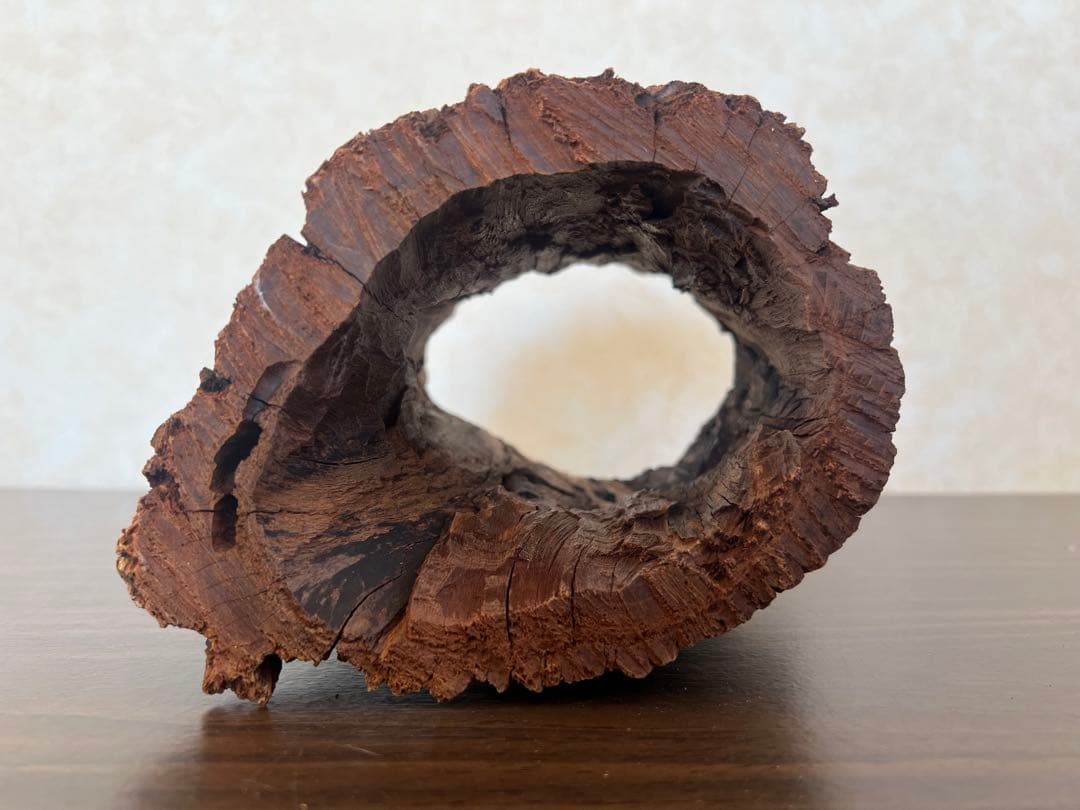 HX-007流木　空洞　爬虫類　アクアリウム　アクアテラリウム　即沈水