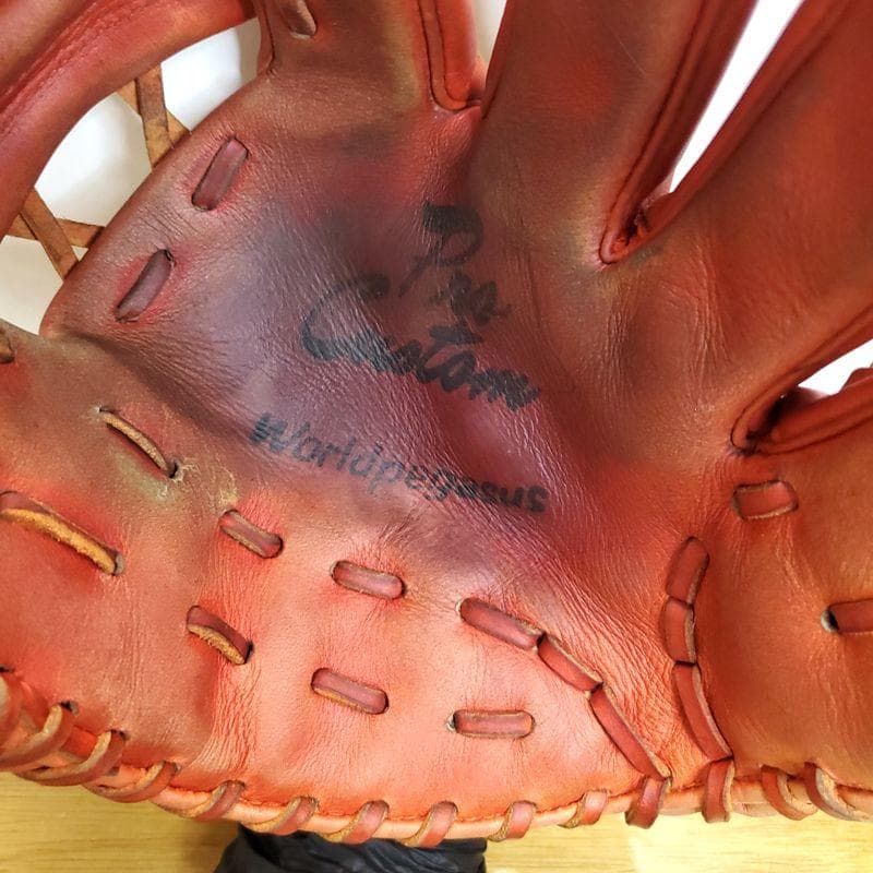 ワールドペガサス WORLD PEGASUS プロカスタム 内野用 軟式グローブ