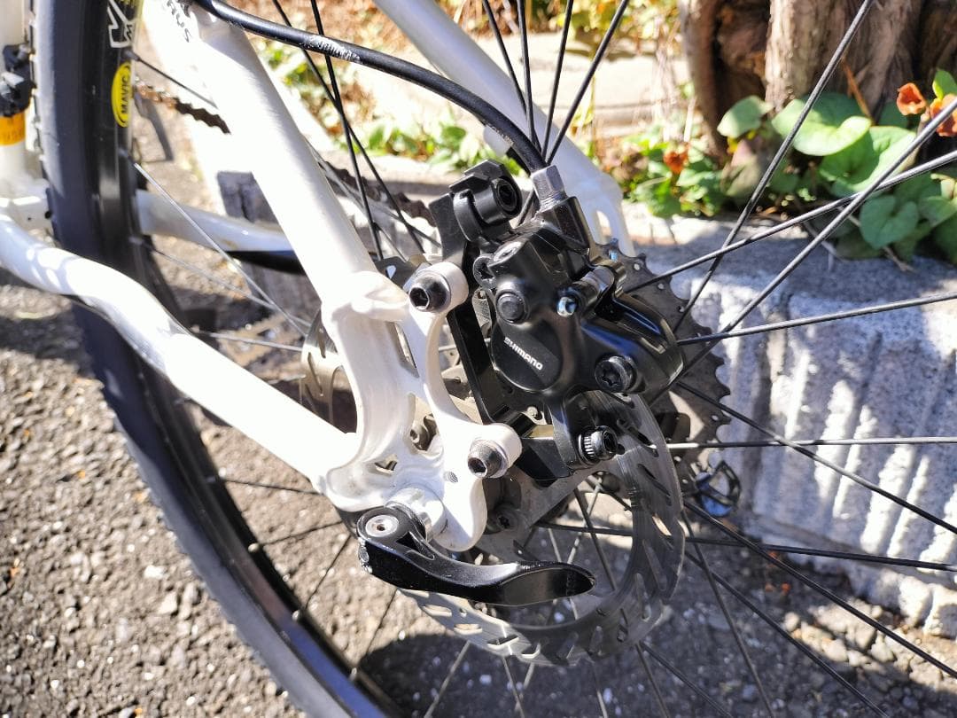 schwinn（シュウィン）2010年モデルmoab（モアブ）希少モデル