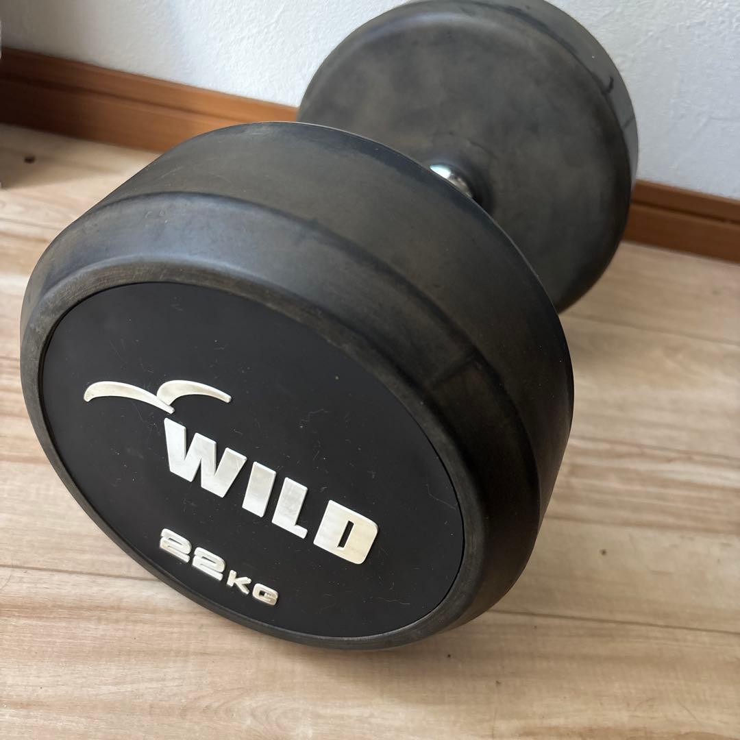 WILD 22kg ダンベル　状態良い　最安値2