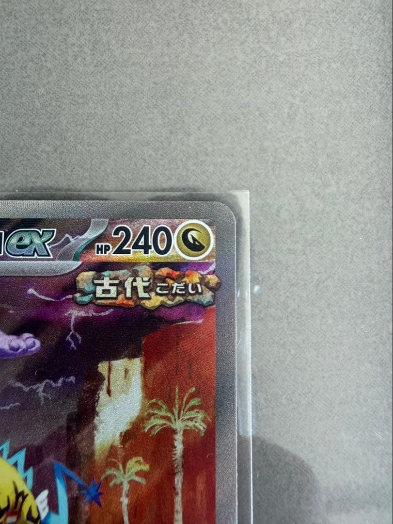 タケルライコSAR ✖︎２枚