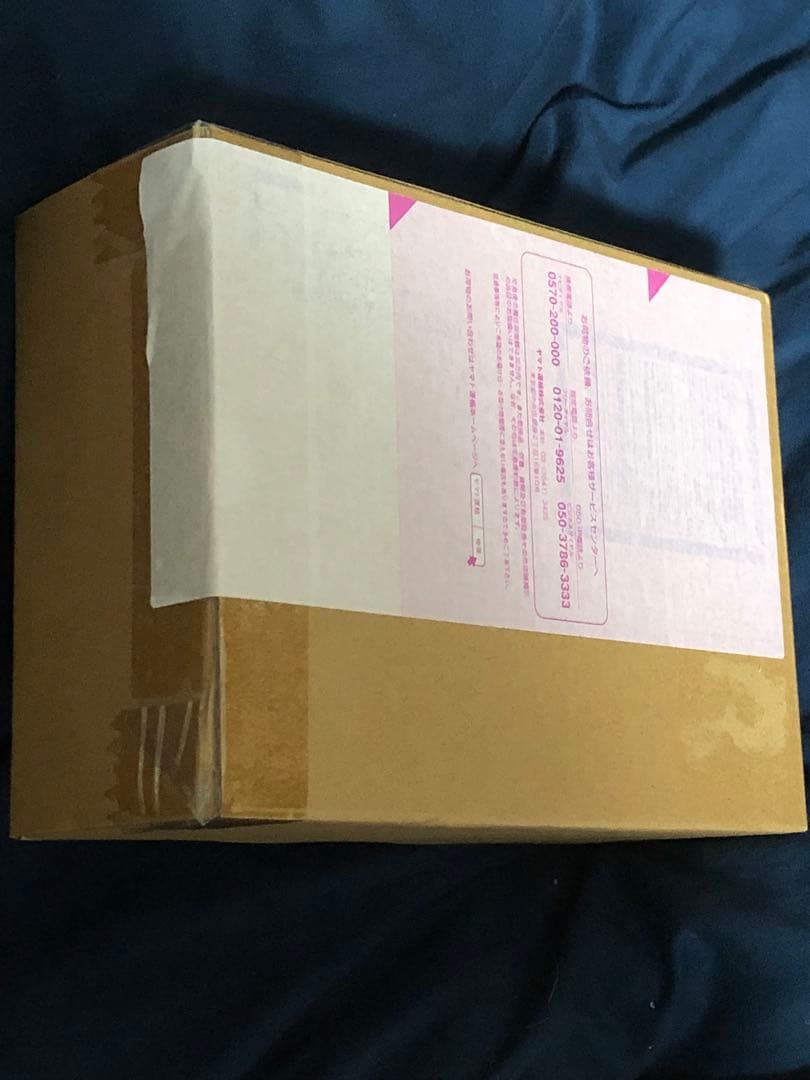 真骨彫製法 SHFiguarts 仮面ライダーW ハードボイルダー　真骨頂