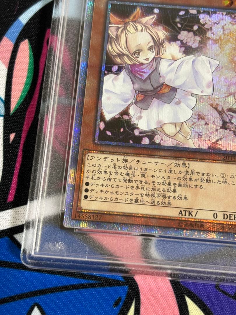 遊戯王 灰流うらら 20th psa9