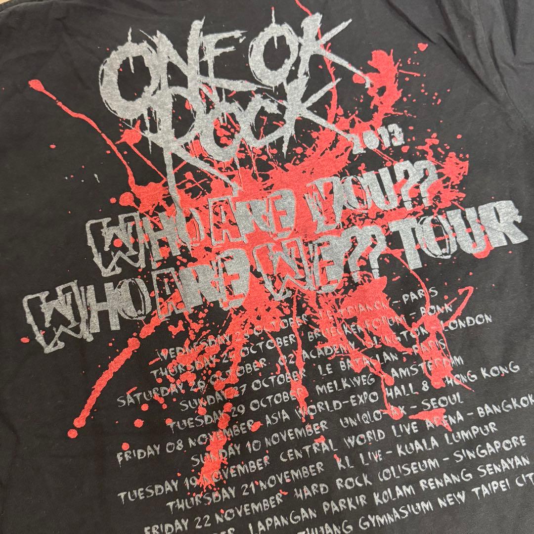 【貴重】Lサイズ ONEOKROCK 2013 海外ツアー Tシャツ ワンオク