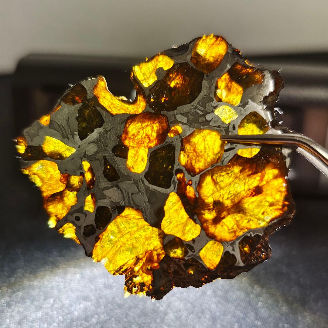 【パラサイト隕石】イミラック隕石20g ケース&ネームカード付き NO.409