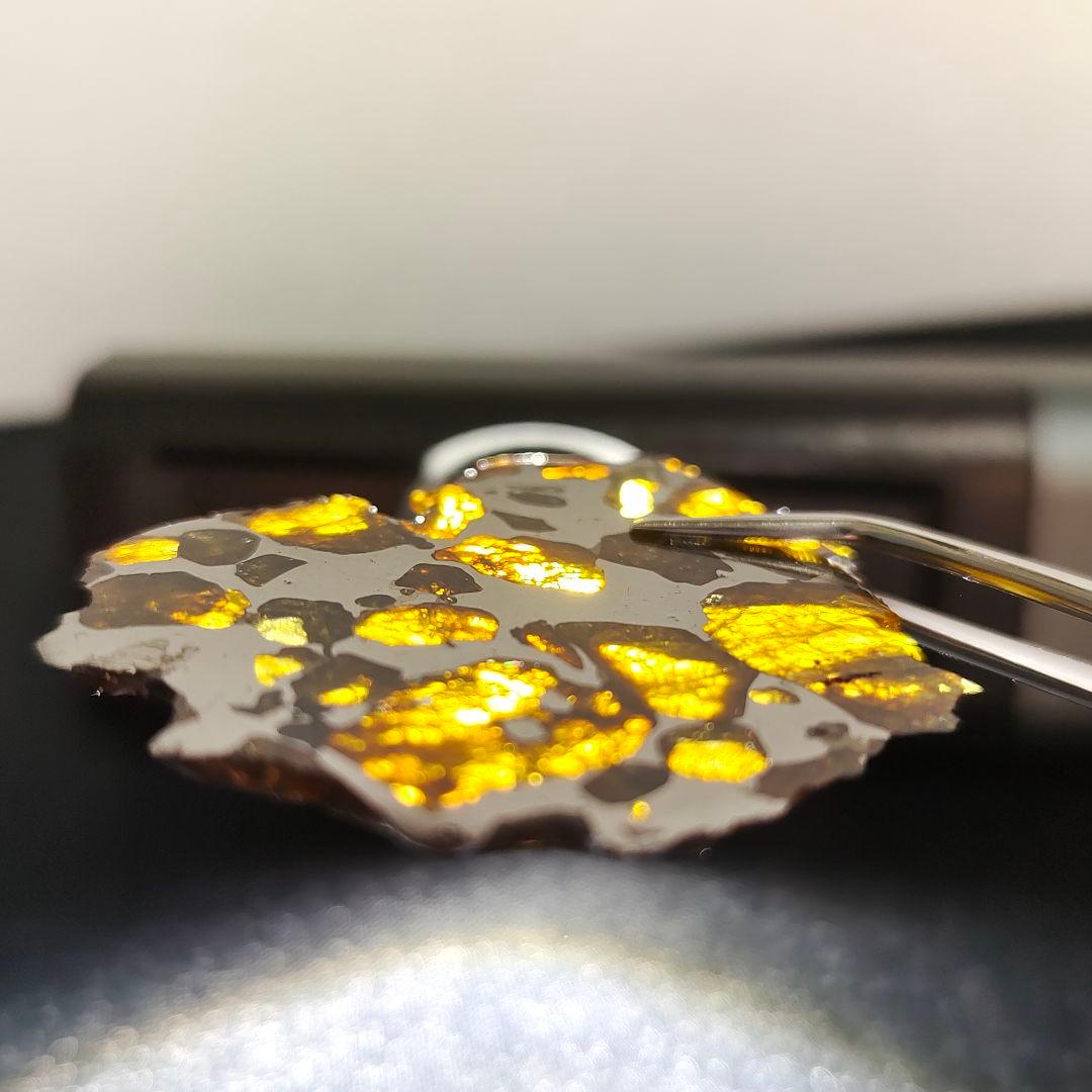 【パラサイト隕石】イミラック隕石20g ケース&ネームカード付き NO.409