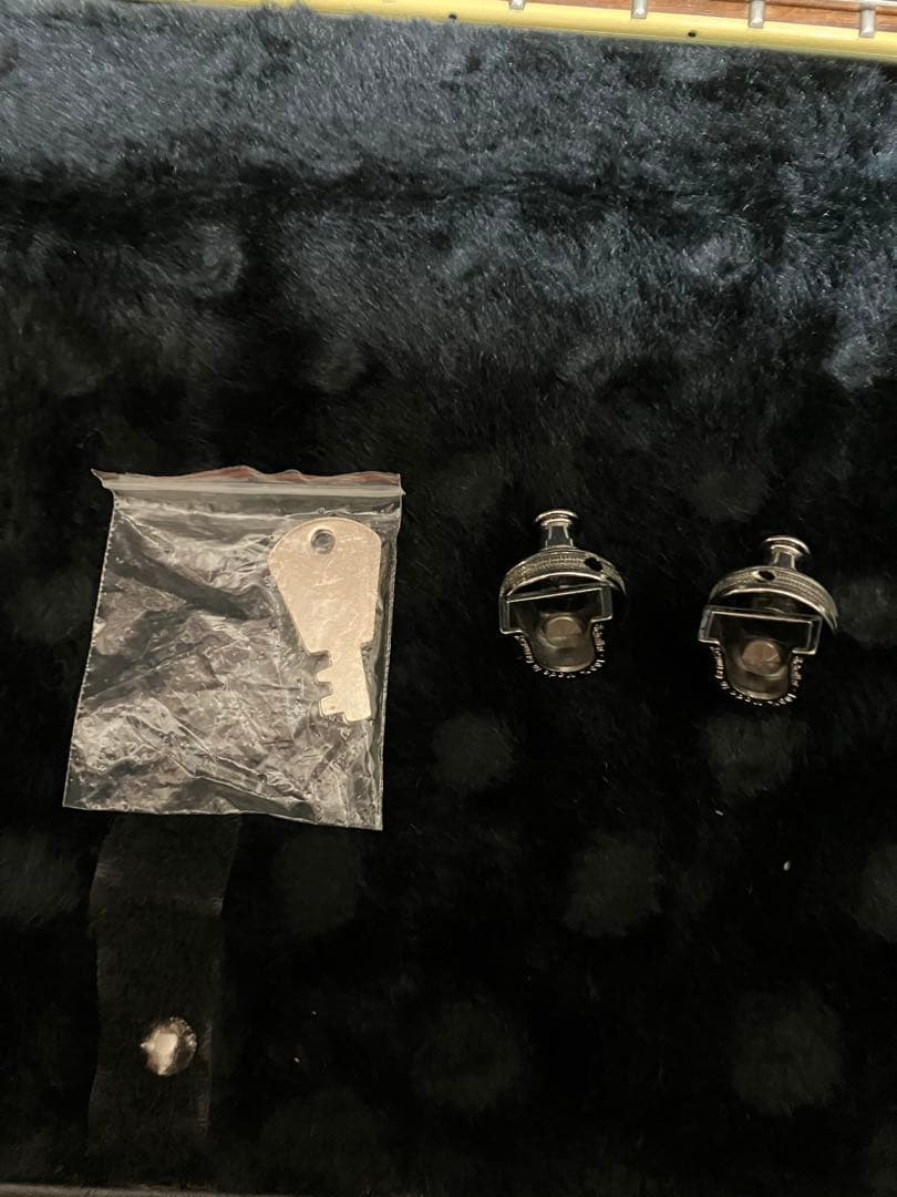 LTD TRUCKSTER James Hetfield メタリカ