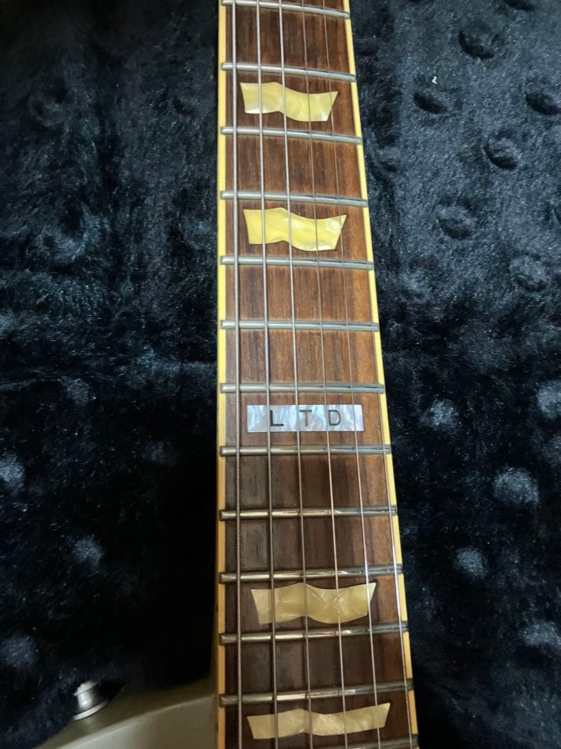 LTD TRUCKSTER James Hetfield メタリカ