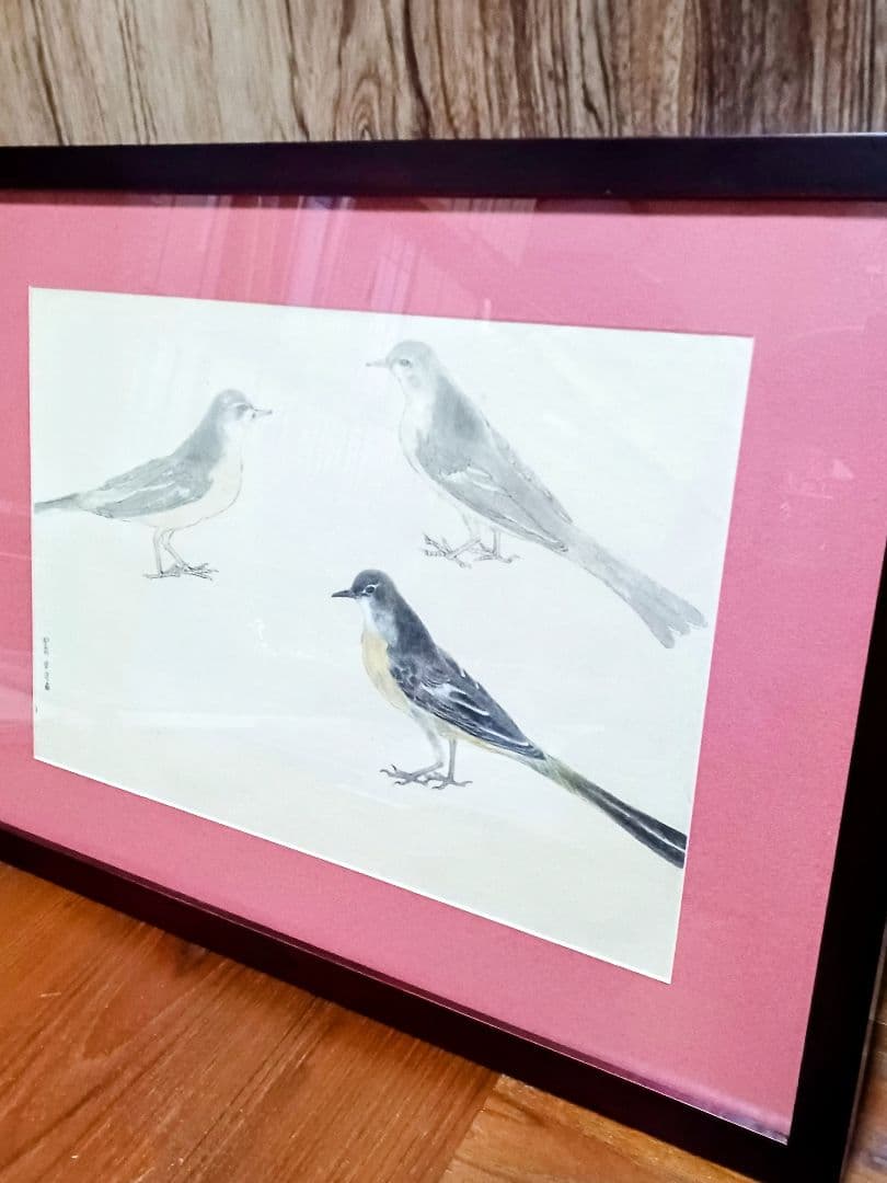 オリジナル原画　E85　 ピンク枠と黒いフレーム付 明治期　キセキレイ　岡嶋正夫