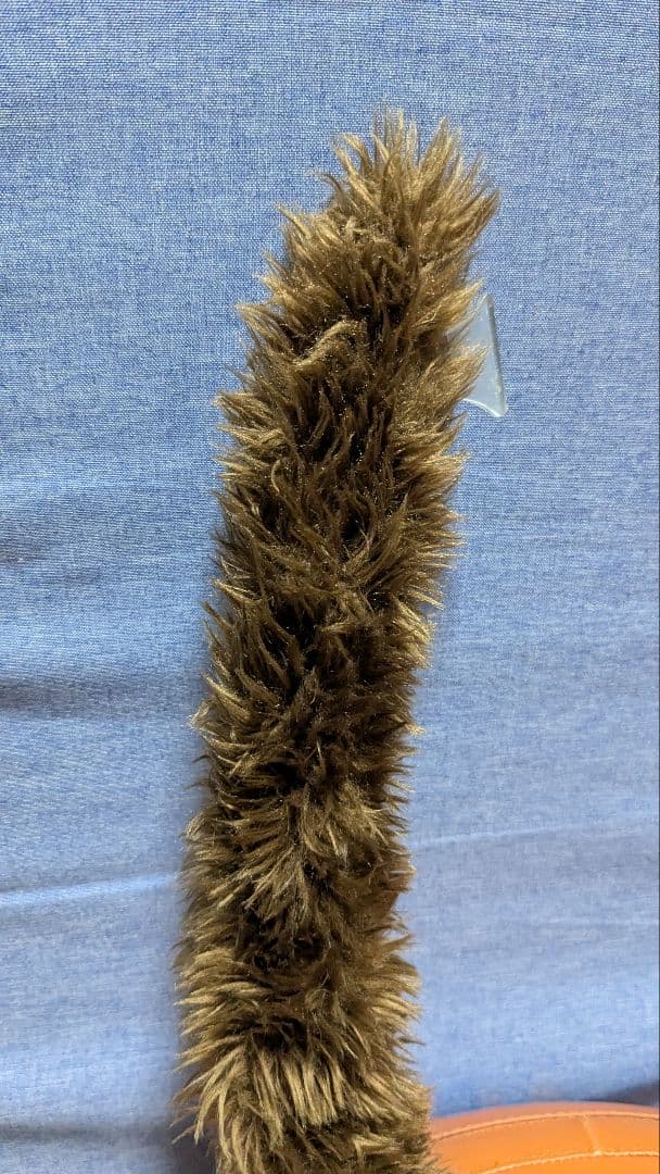 確認用画像です!!