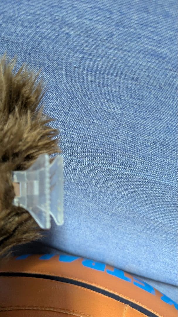 確認用画像です!!