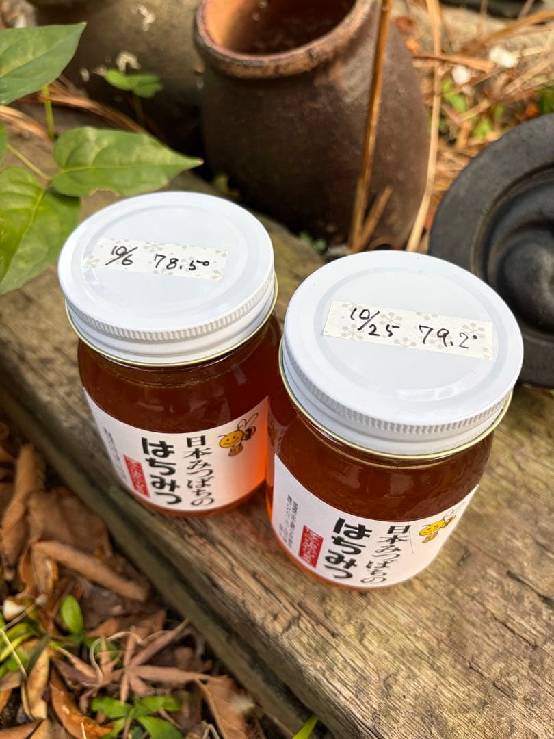 ハチミツ　日本蜜蜂の蜂蜜　巣箱違い谷違いのはちみつ　奥山の奥