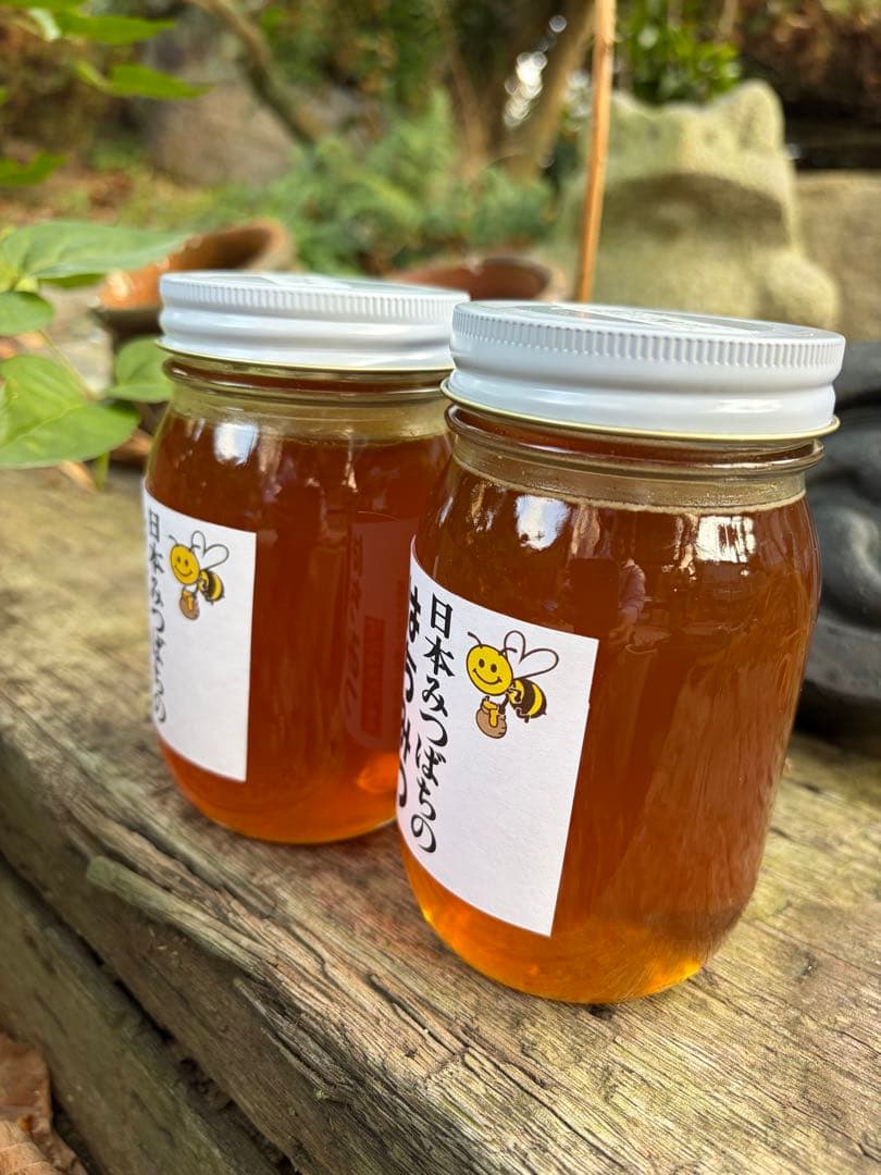 ハチミツ　日本蜜蜂の蜂蜜　巣箱違い谷違いのはちみつ　奥山の奥