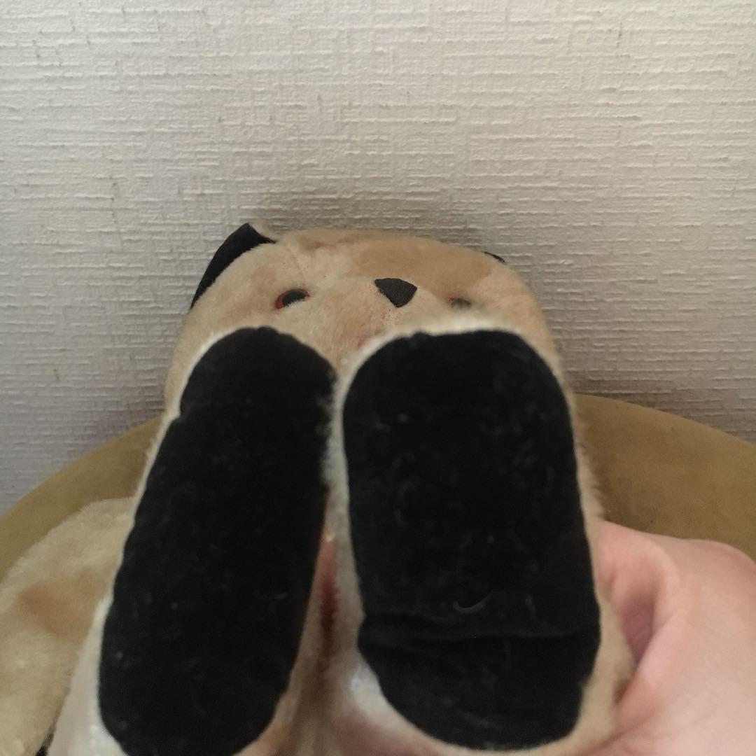 スーティーベア