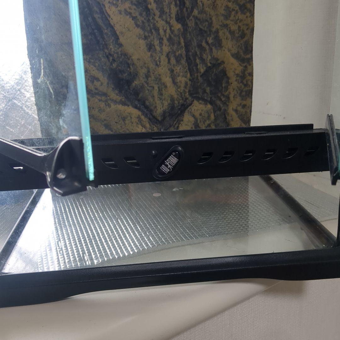 爬虫類　ガラス製テラリウムゲージ