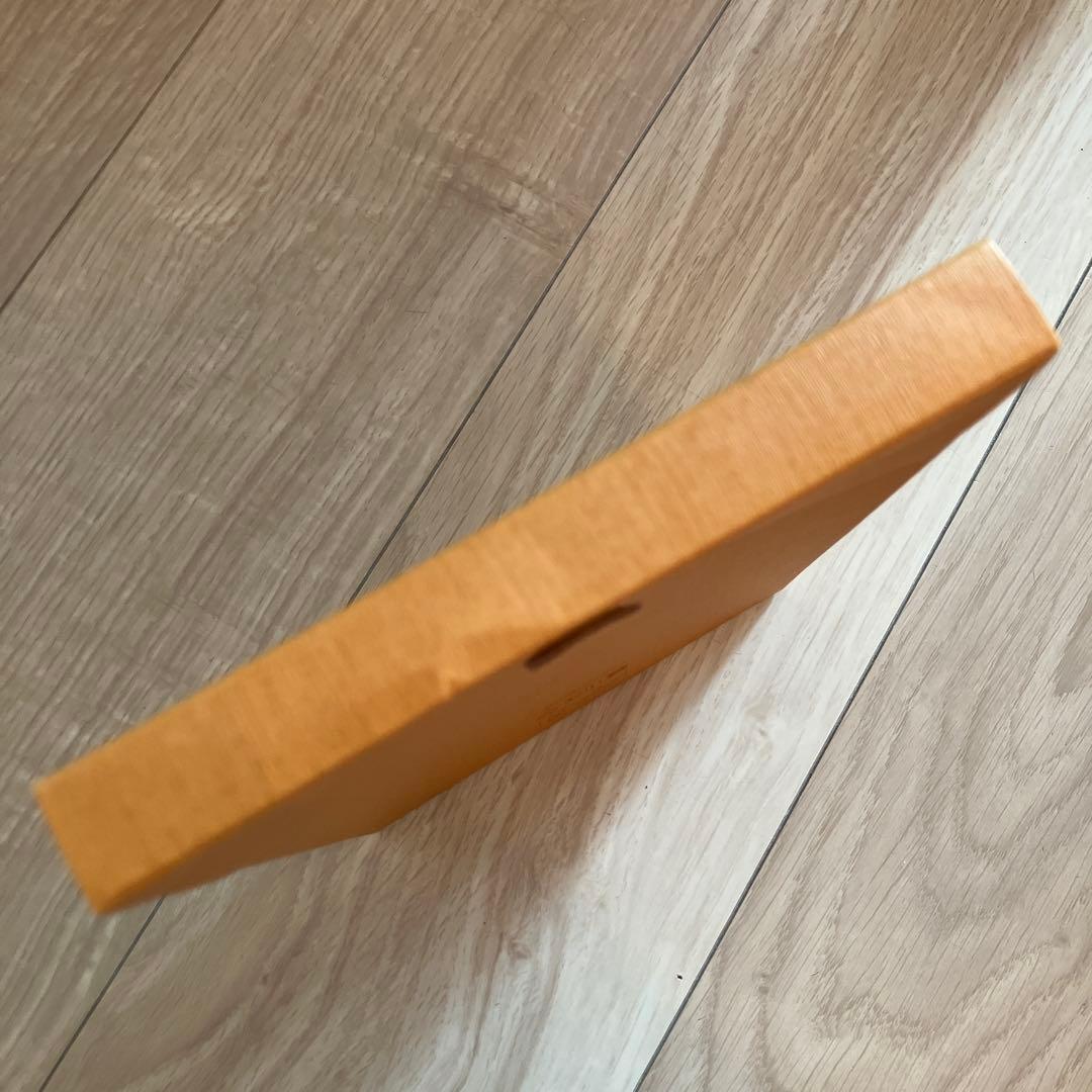 LV × TM ジェーン　ルイ・ヴィトン × 村上隆　ケース付き