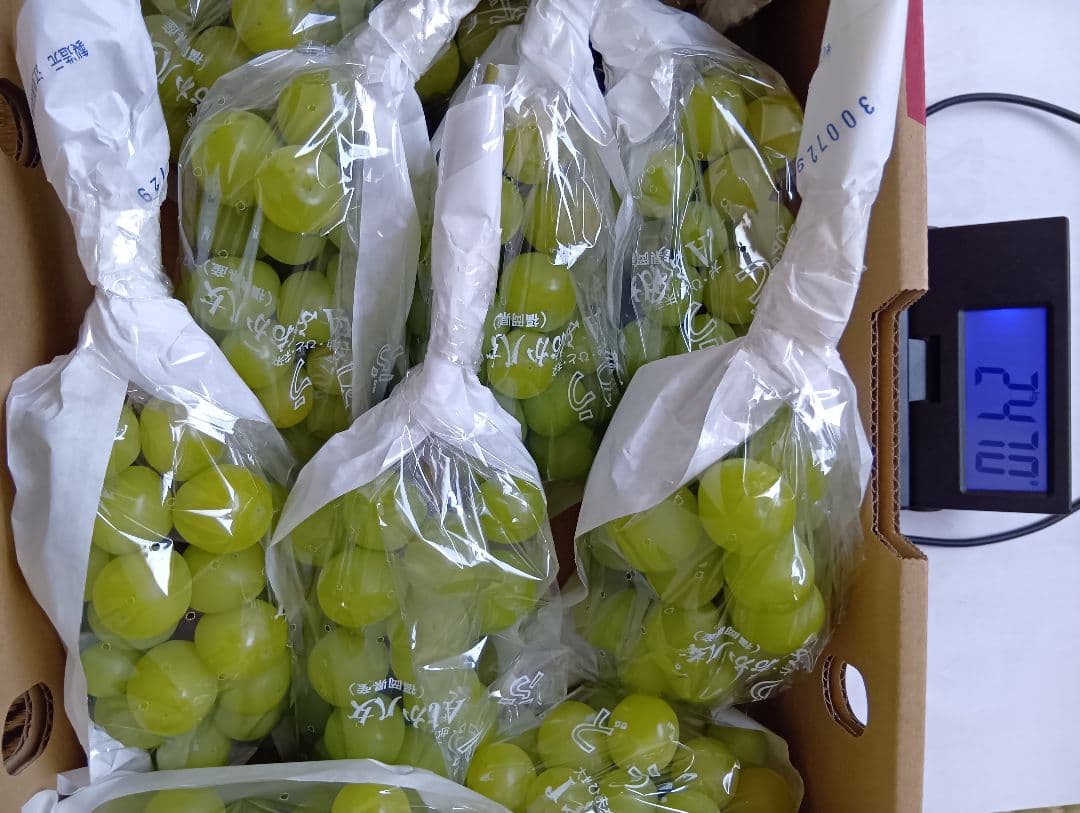 【シャインマスカット10房⑧】ぶどう 福岡県産 シャインマスカット