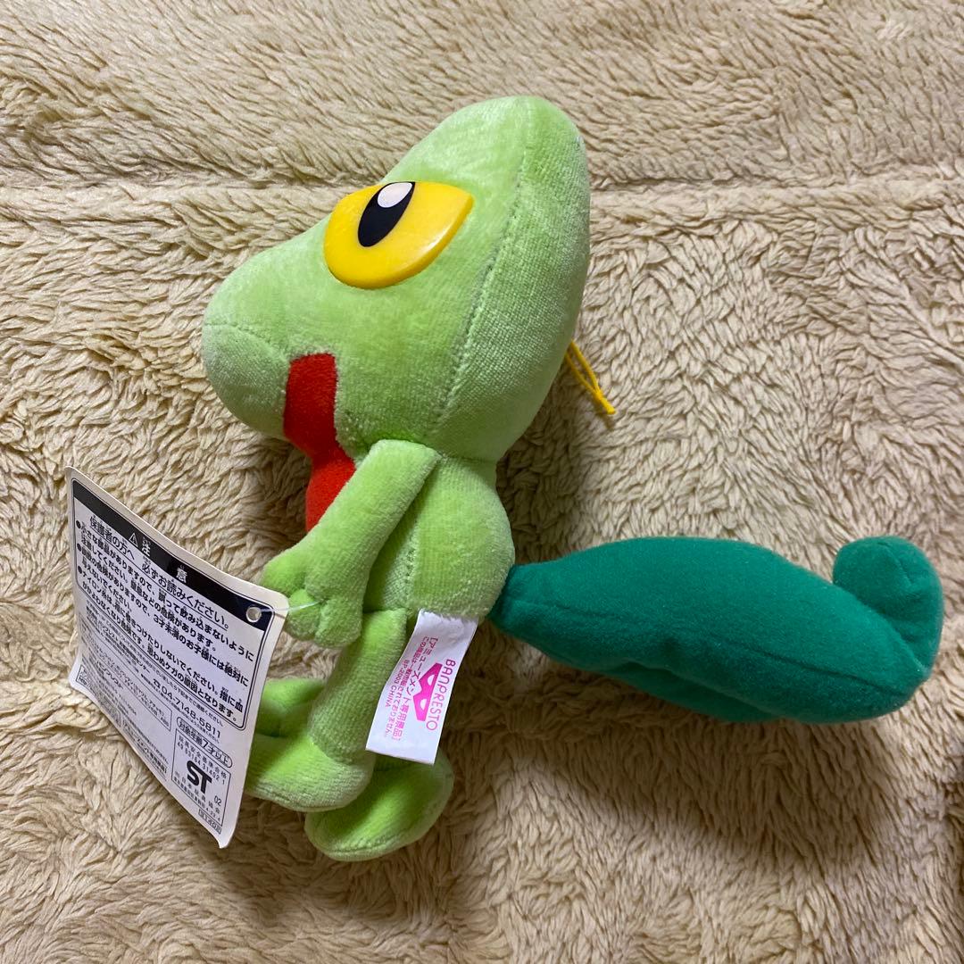 希少　ポケモン　アドバンスジェネレーション　キモリ　ぬいぐるみ　2003年製