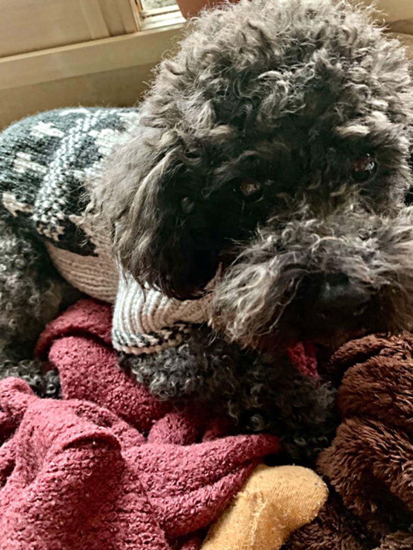 ご確認用です❤