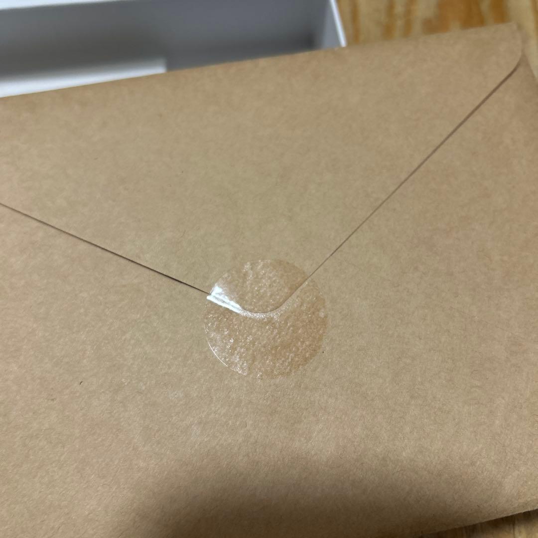 BTS アーティストメイド GUITAR PICK NECKLACE BK SV