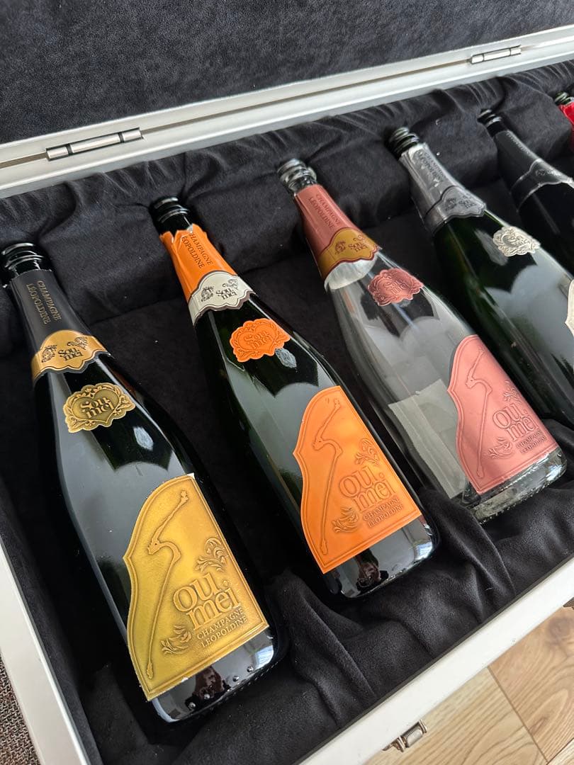 Soulmet アルミケース(空き瓶6本付き)