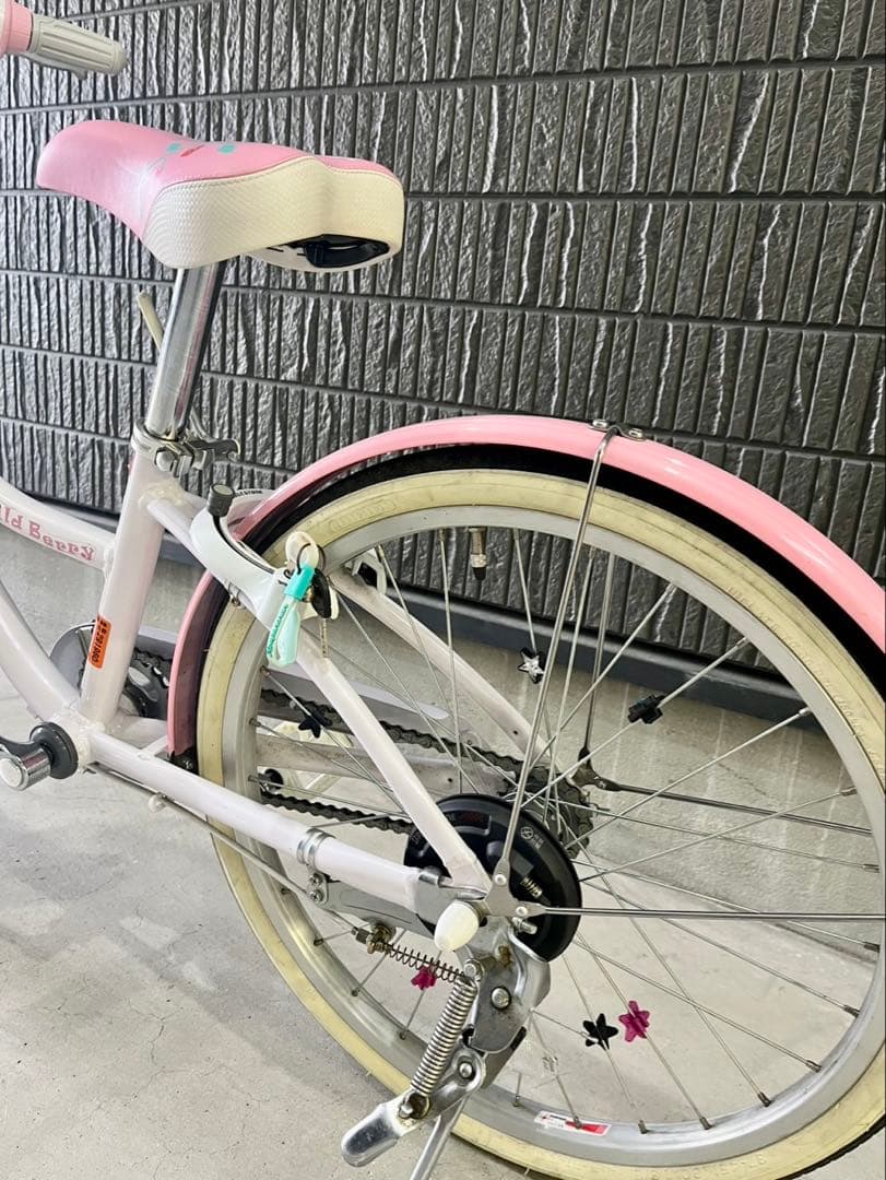 ブリヂストンサイクル　ジュニア向け自転車「ワイルドベリー」　20インチ