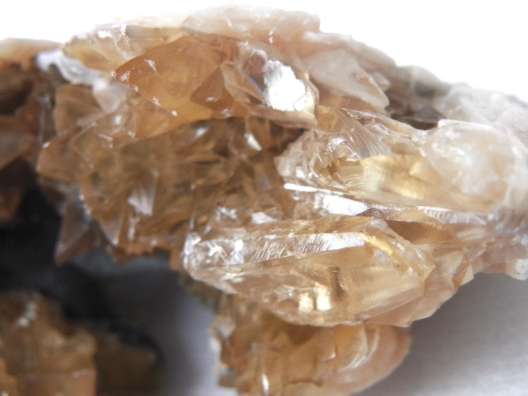 m盆・・・さま専用：方解石化した二枚貝の化石 カルサイト 鉱物標本 蛍光鉱物