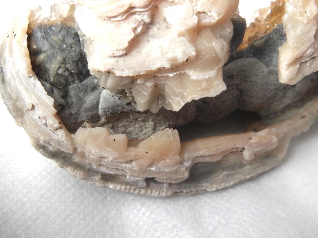 m盆・・・さま専用：方解石化した二枚貝の化石 カルサイト 鉱物標本 蛍光鉱物