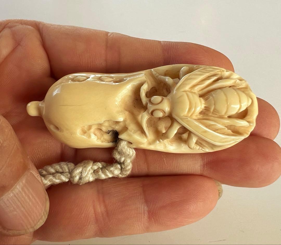 極上 本抹香鯨　虫　根付　重さ:45g. H4-4-3