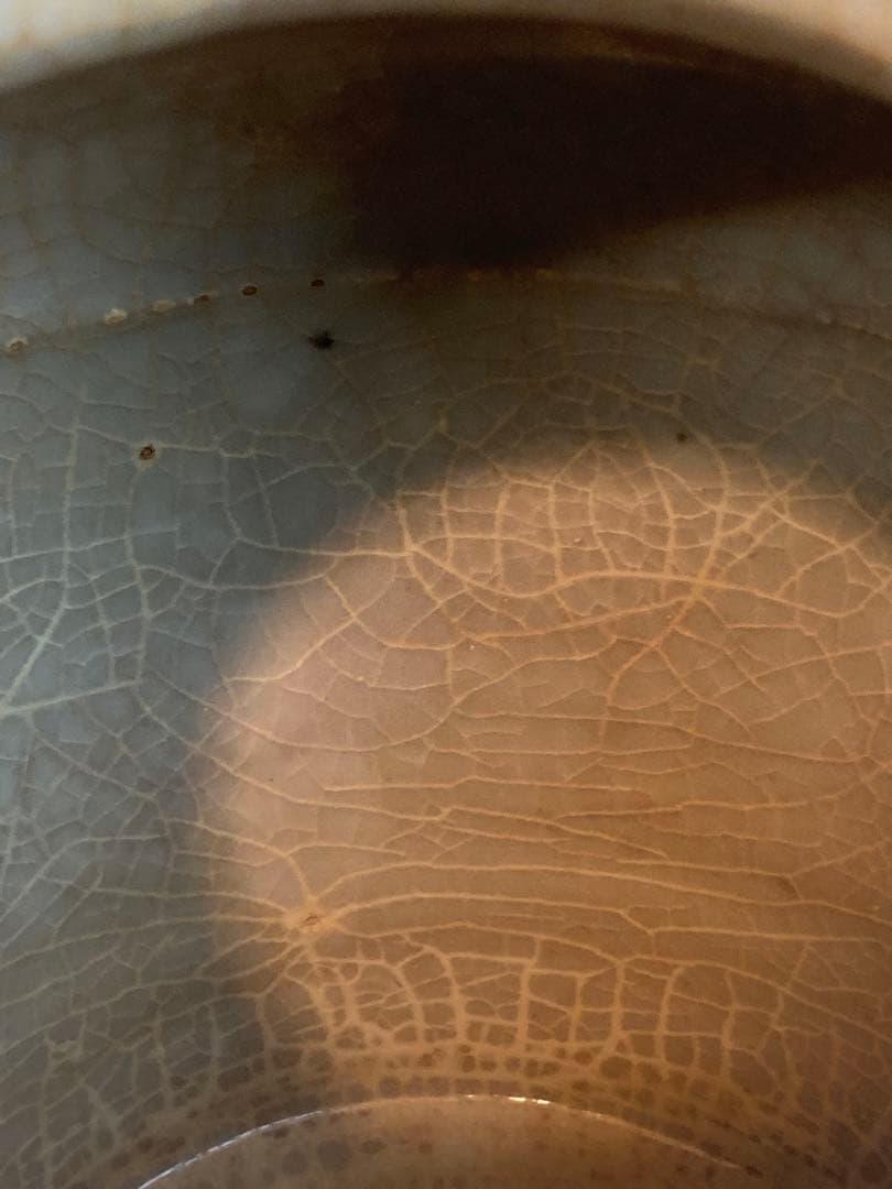 古染付龍獅子紋壷 明時代 中国古陶磁 花瓶