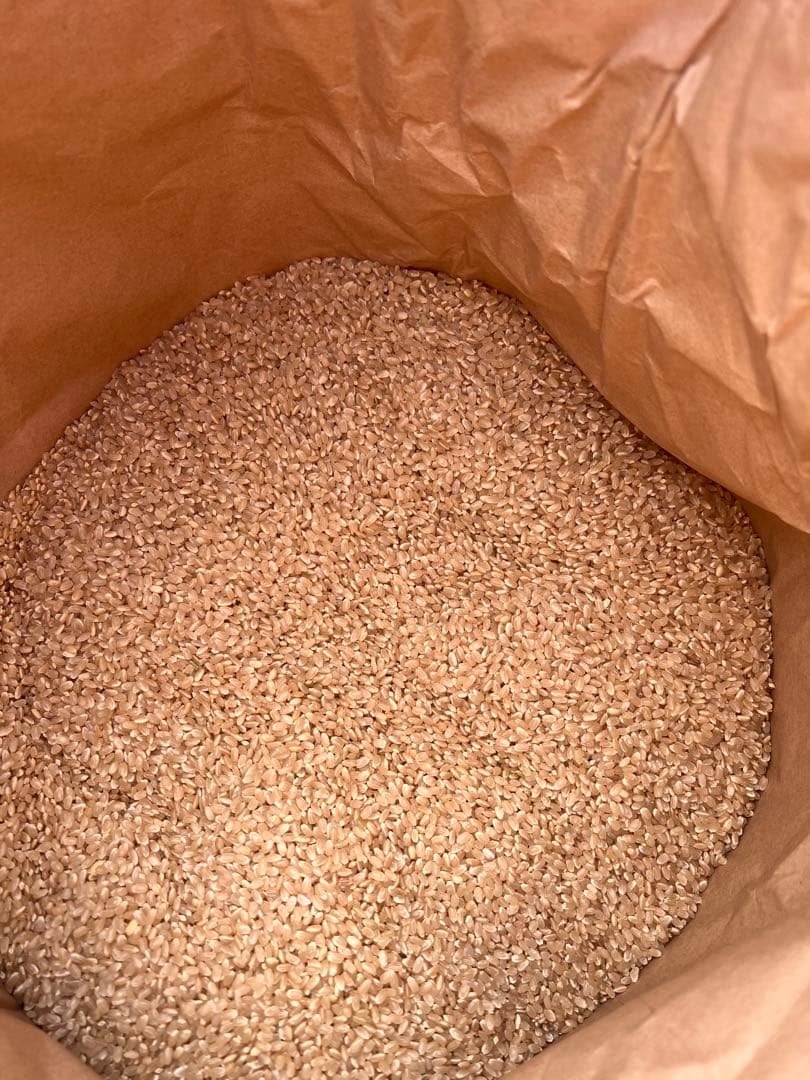 令和7年度産　熊本県産ひのひかり20kg