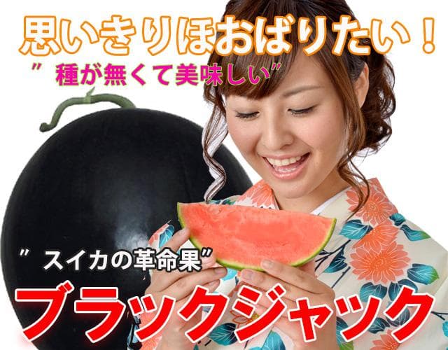 ６㎏×２玉同梱発送・神奈川・向日葵・ブラックジャック