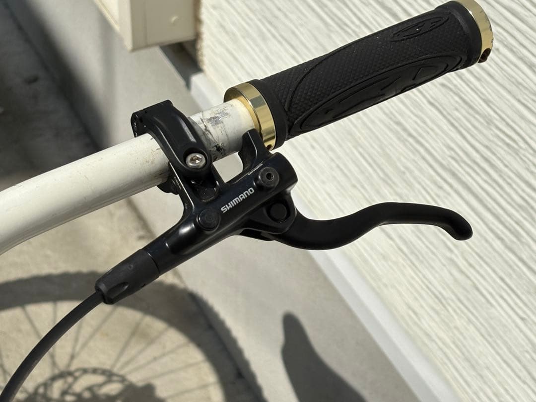 LAPIERRE FROGGY 318 ダウンヒルMTB Marzocchiサス